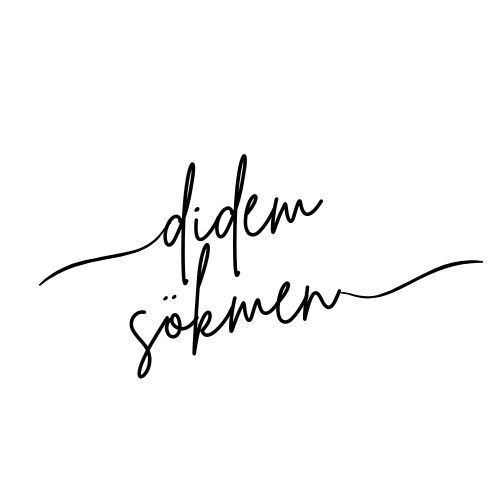 didem sökmen